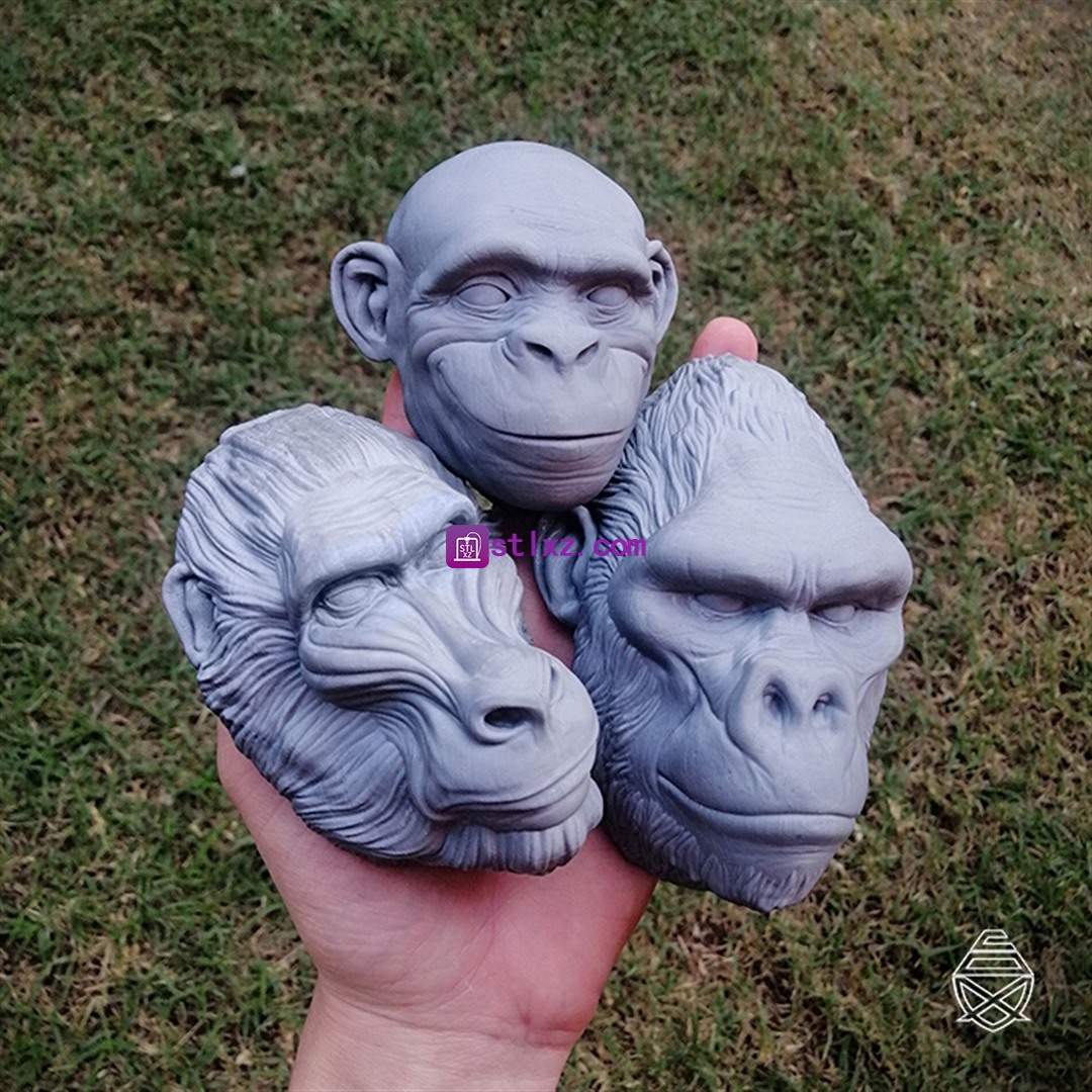 猴子 山魈 猩猩 墙面具-STL下载网_3D打印模型网_3D模型库_3D打印模型素材_3D打印机