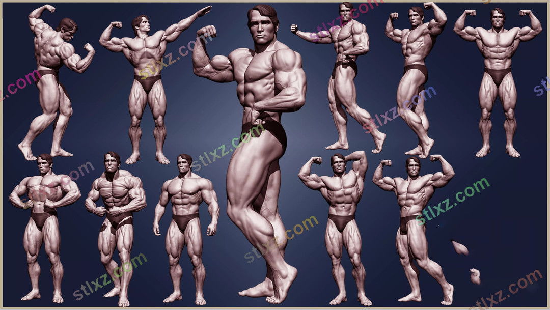 阿诺德·施瓦辛格 健美名人-STL下载网_3D打印模型网_3D模型库_3D打印模型素材_3D打印机