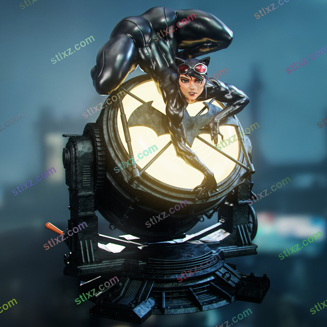 猫女（Catwoman）DC 6
